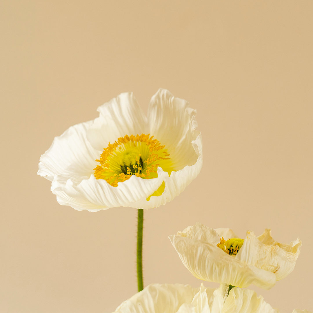 Mental health writing service